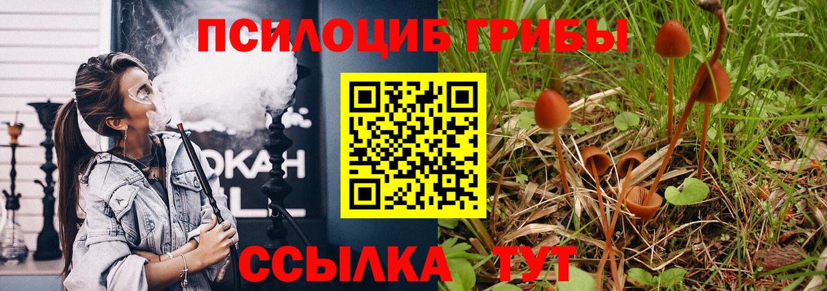 Шахты  Галлюциногенные грибы ЛСД  где найти наркотики  Псилоцибиновые грибы мухоморы  Вход с VPN 